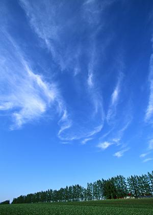 安心の葬儀プランと費用透明性を実現するさいたま市の信頼できる葬儀サービス