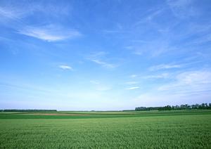 静岡県浜松市中央区の家族葬に最適な斎場・葬儀場|家族葬のタクセル有玉南町の特徴と利点