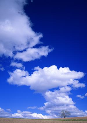 静岡市で信頼できる葬儀サービスを提供【富士葬祭 材木町】の全て