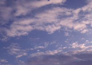 静岡県富士宮市における信頼の葬儀サービス−富士葬祭の特徴と店舗情報