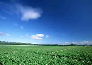 静岡市葵区の家族葬専用斎場「家族葬のタクセル新伝馬」?安心の低価格と多彩なプランでご家族の最期を優しくサポート