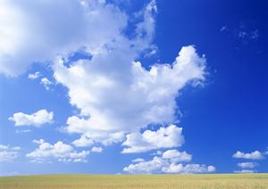 静岡県富士市の家族葬・小規模葬儀に最適な「富士葬祭 富士瓜島」斎場の詳細と特徴