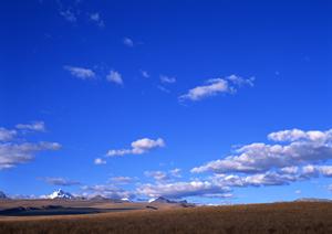 静岡市清水区の家族葬専門斎場「家族葬のタクセル上原」|安心・低価格・多宗派対応の葬儀サービス