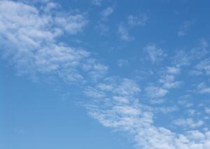 静岡県藤枝市における葬儀の安心サポート:富士葬祭藤枝の特徴とサービス内容