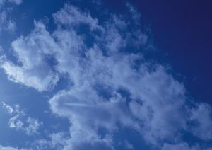 静岡県焼津市に新たに誕生!家族葬に特化した【家族葬のタクセル西焼津】の魅力と特徴