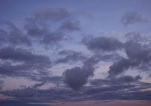 静岡市清水区に新規オープンの家族葬専門ホール「家族葬のタクセル北矢部町」の特徴と利用メリット